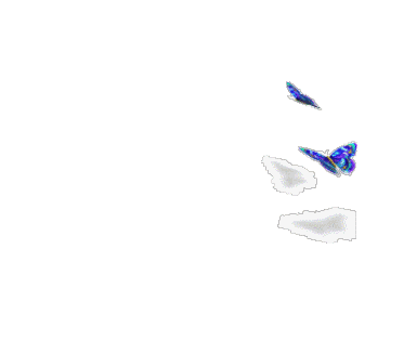 d5e666c.gif